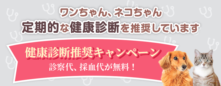 ワンちゃん・ネコちゃん 定期的な健康診断を推奨しています　健康診断推奨キャンペーン　2021.1.1～2021.12.31　診察代、採血代が無料！