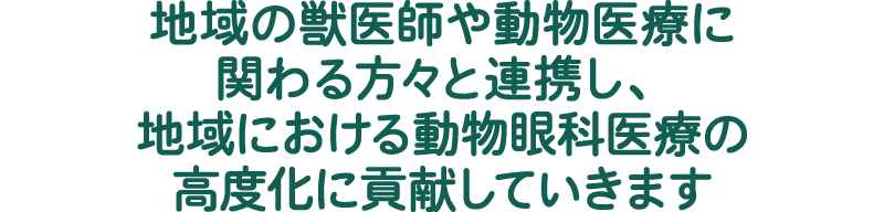 地域の獣医師や動物医療に関わる方々と連携し、地域における動物眼科医療の高度化に貢献していきます