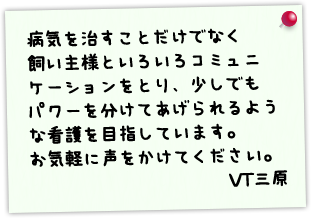病気を治すことだけでなく飼い主様といろいろコミュニケーションをとり、少しでもパワーを分けてあげられるような看護を目指しています。お気軽に声をかけてください。 VT三原