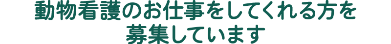 動物看護のお仕事をしてくれる方を募集しています