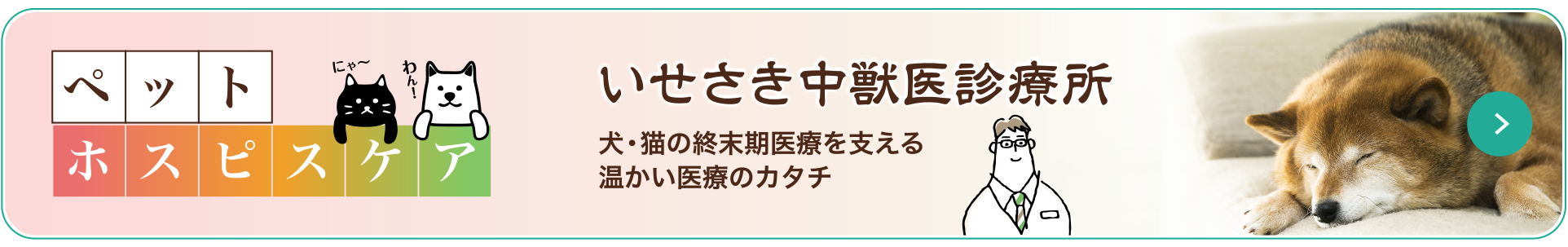 いせさき中獣医診療所 犬・猫の終末期医療を支える温かい医療のカタチ