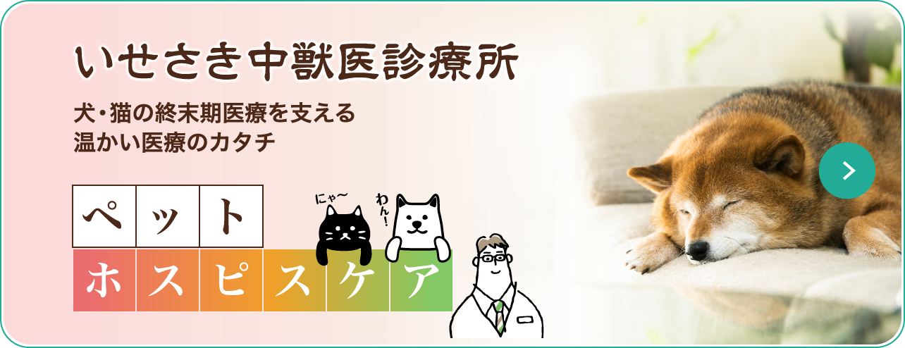 いせさき中獣医診療所 犬・猫の終末期医療を支える温かい医療のカタチ