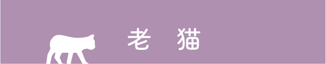 老猫