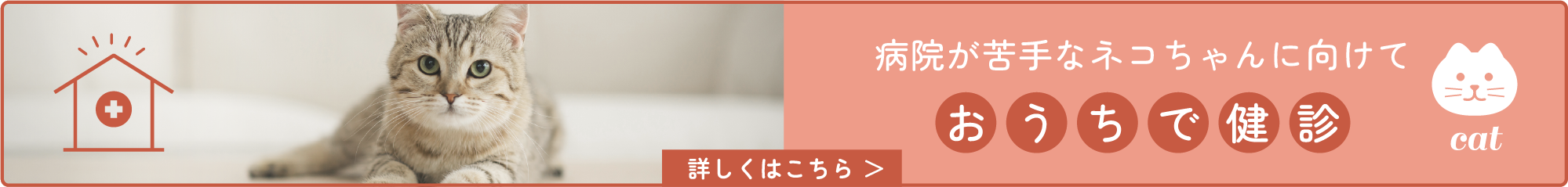 病院が苦手なネコちゃんに向けて おうちで検診