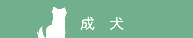 成犬