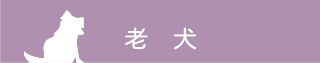 老犬
