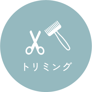 トリミング