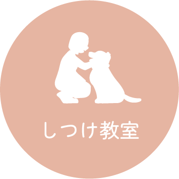 しつけ教室