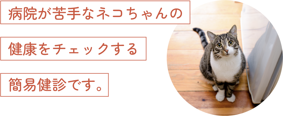 病院が苦手なネコちゃんの健康をチェックする簡易健診です。