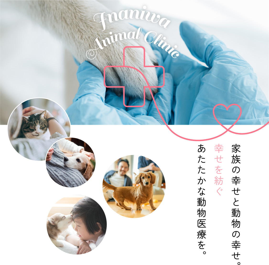 家族の幸せと動物の幸せ。幸せを紡ぐあたたかな動物医療を。