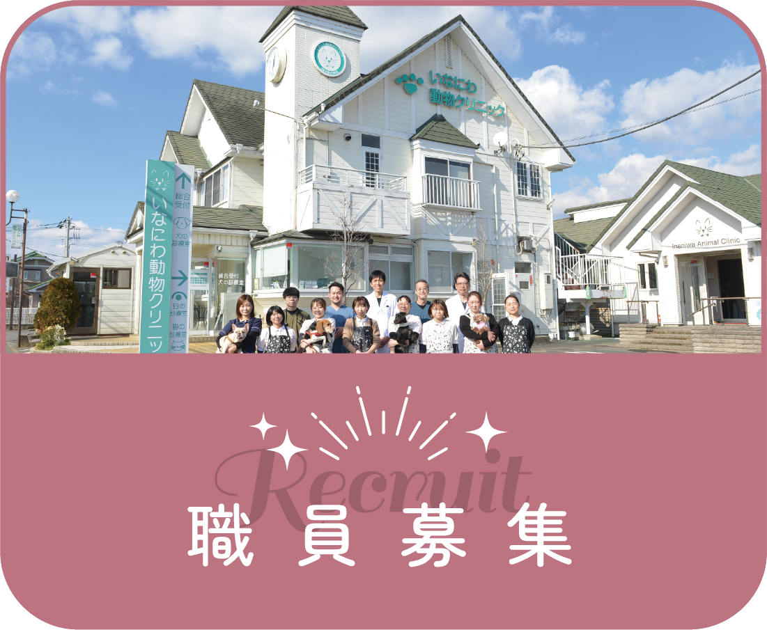 職員募集