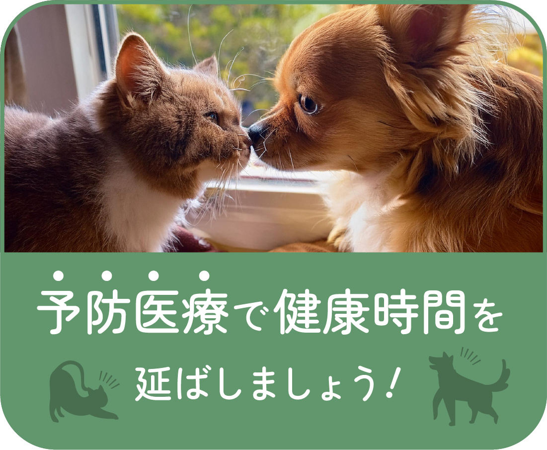 予防医療で健康時間を延ばしましょう!