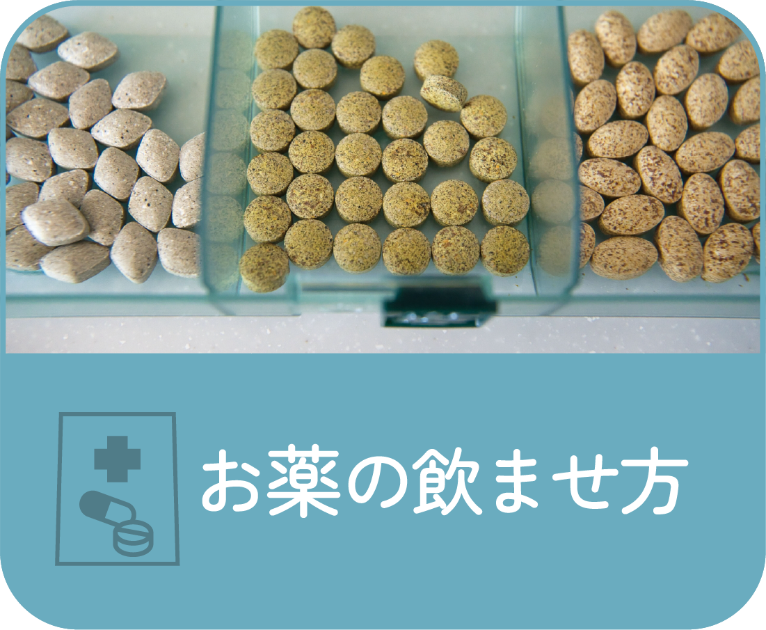 お薬の飲ませ方