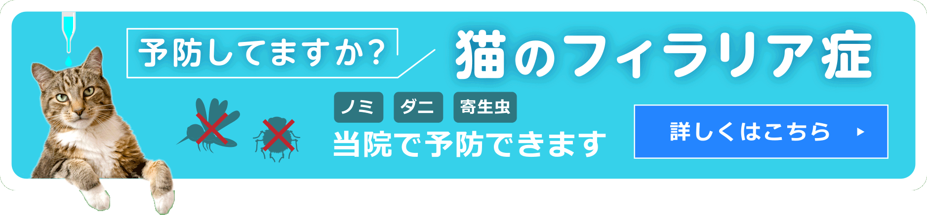 予防してますか？　猫のフィラリア症　蚊　ノミ　ダニ　寄生虫　当院で予防できます