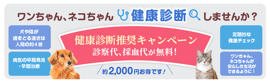 ワンちゃん、ネコちゃん健康診断しませんか？