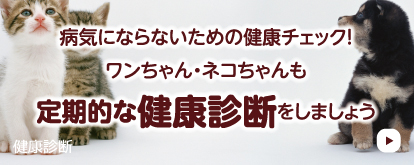 病気にならないための健康チェック！ワンちゃん・ネコちゃんも定期的な健康診断をしましょう