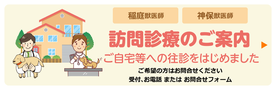 訪問診療のご案内