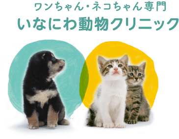 いなにわ動物クリニック