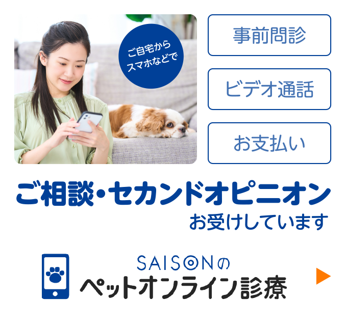 ご自宅からスマホなどで　事前問診　ビデオ通話　お支払い　ご相談・セカンドオピニオンお受けしています　SAISONのペットオンライン診療