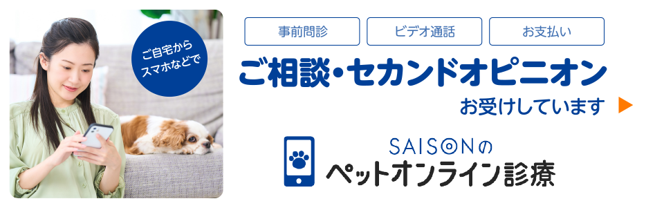 ご自宅からスマホなどで　事前問診　ビデオ通話　お支払い　ご相談・セカンドオピニオンお受けしています　SAISONのペットオンライン診療