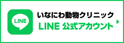 Line公式アカウント